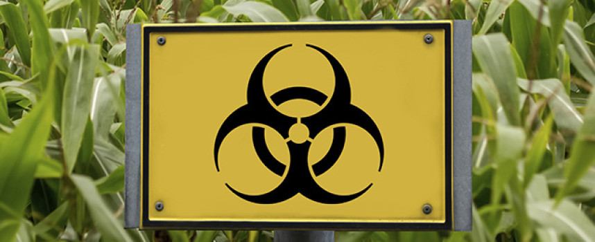 Population control has begun – TPP agreement makes generic drugs too expensive for the sick and already dying