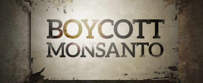 Bt cotton killing Indian farmers while Monsanto profits from seed imperialism and deadly poisons