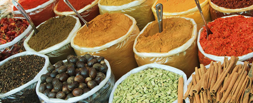 Health Revolt exposes dangers of corporate takeover of food supply, gardasil vaccine and fetal organ harvesting