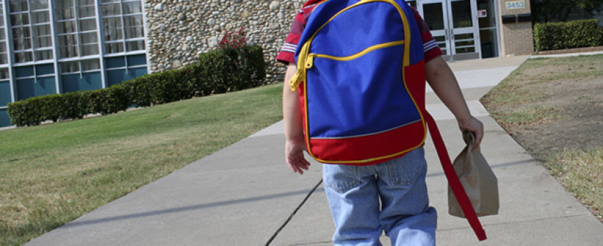 How the feds shoved Common Core down the throats of America's citizens