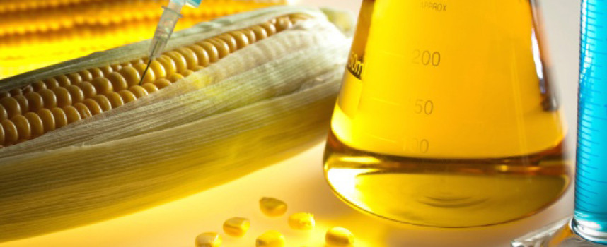 Eat here and die: Wyoming considering resolution to officially endorse GMO foods