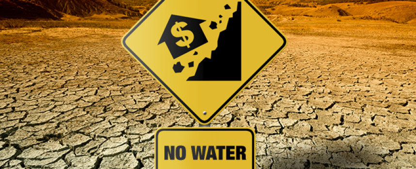 California drought dries up lake overnight, killing thousands of fish