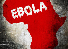 Ebola surges back even after 'recovery' … mystery deaths in Africa believed to be Ebola's third wave