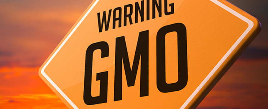 Half of European Union now rejects Monsanto imperialism: Consensus leans toward total GMO ban