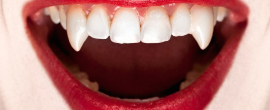 Thousands of blood-sucking vampires actually live all over the world, and they just need a little help, study says