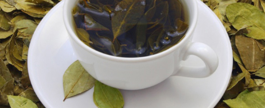 Go-to guide for healthy teas