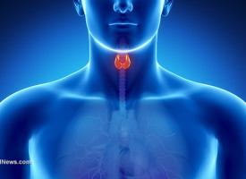 Five symptoms that indicate thyroid problems