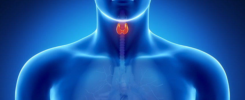 Five symptoms that indicate thyroid problems