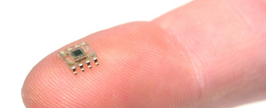 After California's forced vaccination mandate, Los Angeles now requiring microchipping of pet cats