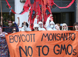 Monsanto has a long history of bullying, deceiving and exploiting farmers and governments