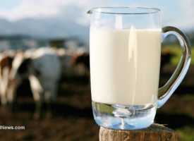 U.S. Representative Thomas Massie sponsors bills making the sale of raw milk easier