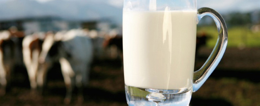 U.S. Representative Thomas Massie sponsors bills making the sale of raw milk easier