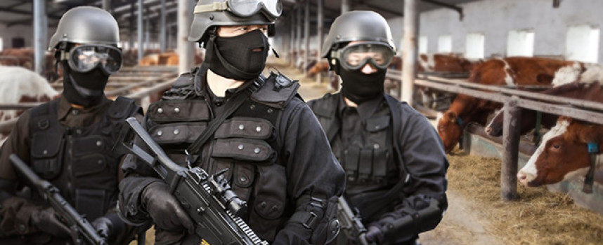 Breaking: Canada raids farm for supplying raw milk demand; food freedom activists successfully defend farm with civil disobedience