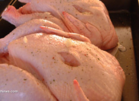 Scientists turn to lab-grown chicken meat after spending $300,000 making artificial beef