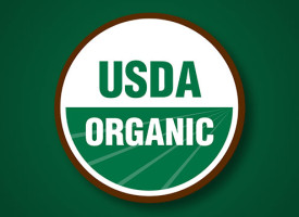 Corruption watchdog demands investigation into harassment of USDA workers researching GMOs