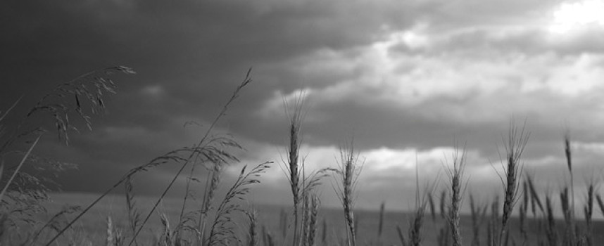 Globalist agriculture cartel pillages Ukraine as IMF and World Bank wage war to expand Monsanto's GMO empire