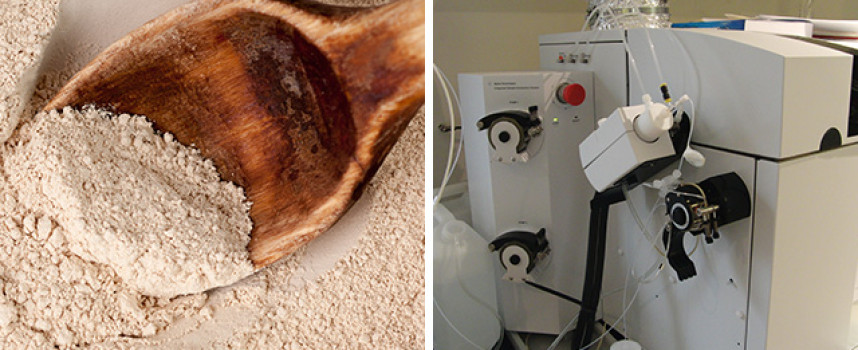 Health Ranger issues zeolite challenge: Drop your zeolites for 28 days and see if you feel BETTER