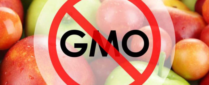 Russian government to outlaw all GMO food products to protect citizens' health