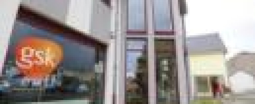 GSK plan to file up to 20 new drugs by 2020 underwhelms market