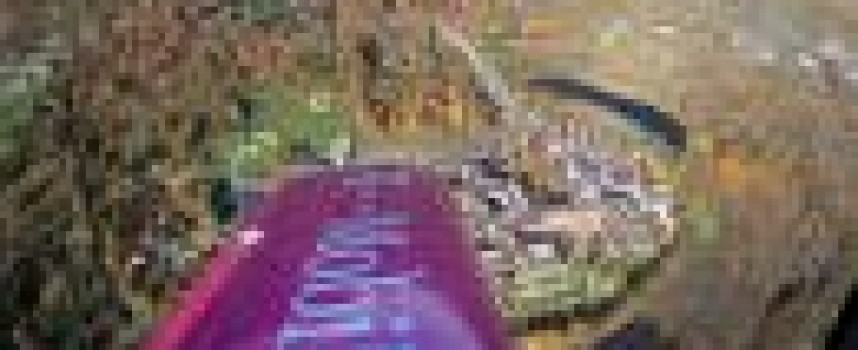 T-Mobile turns to customers to improve its network