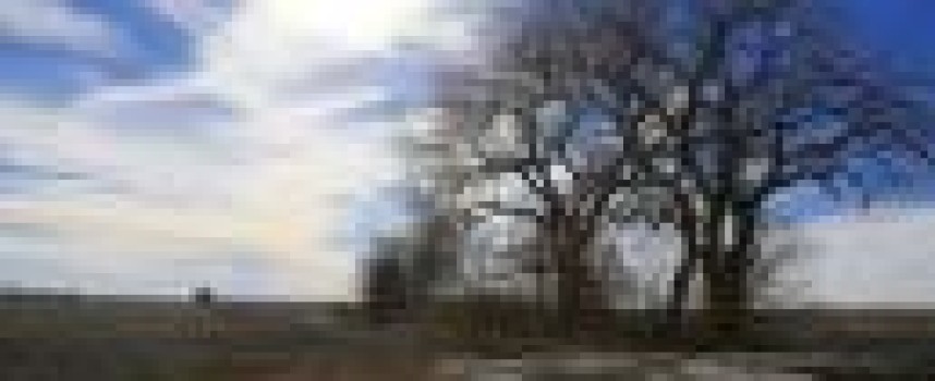 TransCanada asks US to suspend pipeline application review